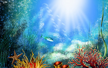 Full Size of Fish Tank Diy Fish Tankgrounds For Gallon Tankfishground Computer Clingsfish Paper 3dfish Incredibleish ... HD wallpaper