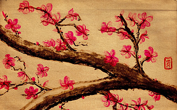Cherry Blossom Paintings HD wallpaper