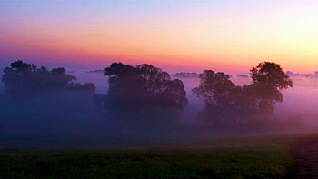 Misty Sunrise, colors, trees, sky, morning, landscape HD wallpaper