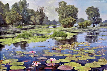 The lake, water, zbigniew kopania, lake, lotus, art, so mmer, pink, painting, flower, green, pictura, vara HD wallpaper