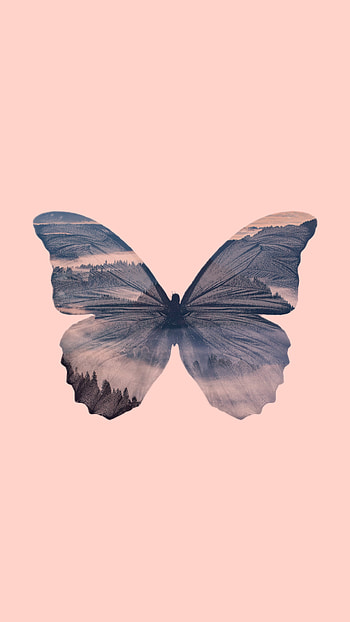 Butterfly, moths_and_butterflies, painting, mariposa HD phone wallpaper
