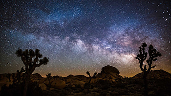 Milky Way over Joshua Tree National Park, California, night, Milky Way, nature, Joshua Tree National Park HD wallpaper