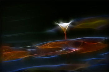 Cool Flower, cool, beautiful, , flower HD wallpaper