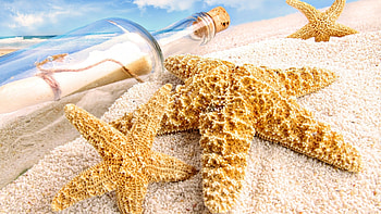 Message in a Bottle, Sea stars, Oceanic beauty, Enigmatic message HD wallpaper