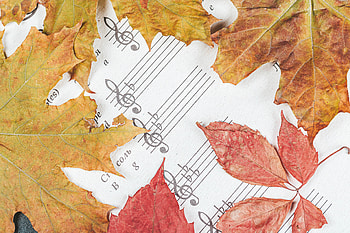 Music, Autumn, Leaves, Miscellanea, Miscellaneous, Letters, Notes HD wallpaper