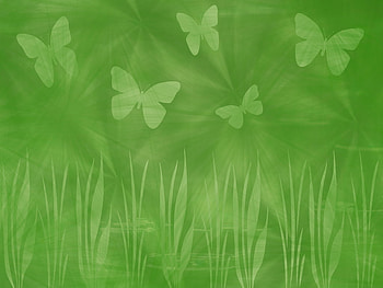 Fly Away, butterflies, abstract, green, grass, fly HD wallpaper
