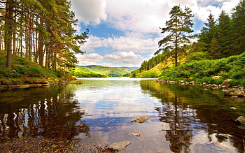 Nature, Water, Trees, Clouds, Summer, Lake, Shore, Transparent, Forest, Brightly, Shores, Noon HD wallpaper