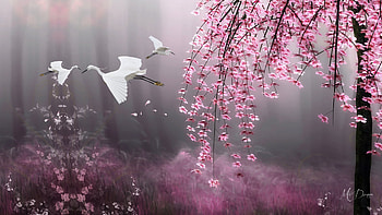 Blooming Cherry Tree, cranes, spring, Japan, cherry tree, sakura, blossoms, Oriental, Asian, flowers, blooms HD wallpaper