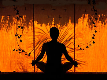 Transcending, shadow, leaves, sitting, transcend, peaceful, meditation, meditate HD wallpaper