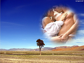 love, couples, kiss HD wallpaper