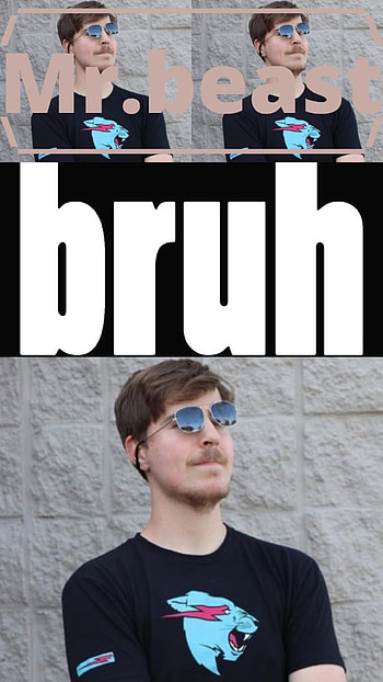 Mr.beast bruh, Celebrity HD phone wallpaper