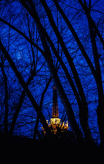 Sky, Night, Dark, Shine, Light, Structure, Branches HD phone wallpaper