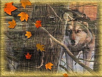 Autumn Woods, Wolf, nature, Woods, Autumn, CG HD wallpaper