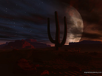 moon in the Deserts, deserts, moon, art, nature, dark, nigth HD wallpaper