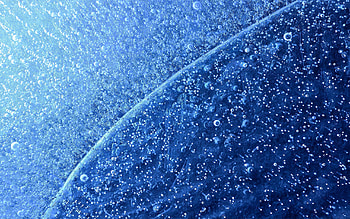 Snow, Drops, Macro HD wallpaper