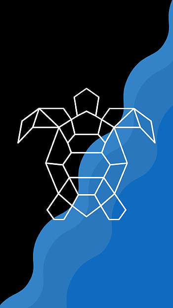 tortuga, 2D, animal, geometri HD phone wallpaper