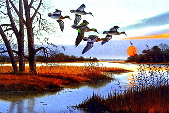 Little Bullets, birds, fall, flying, paintings, love four seasons, autumn, draw and paint, nature, sky, rivers HD wallpaper