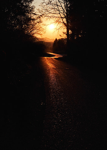 Nature, Trees, Sunset, Dark, Road HD phone wallpaper