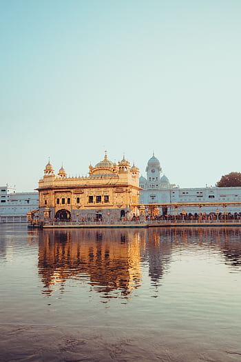A serene view of the Golden Temple in Amritsar, its reflection shimmering in the tranquil water at sunrise. HD phone wallpaper