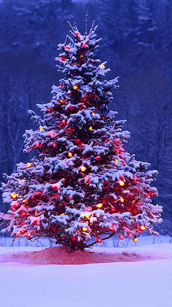 Christmas, Christmas HD phone wallpaper
