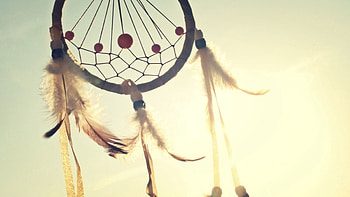 Sky, Feather, Miscellanea, Miscellaneous, Blur, Smooth, Grid HD wallpaper