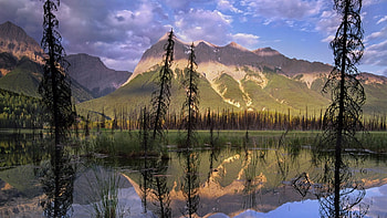 amazing nature, reflection, clouds, trees, mountains, lake HD wallpaper