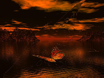 butterfly flying over water, clouds, orange, butterfly, water HD wallpaper