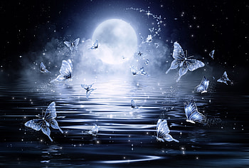 Butterflies, Art, Stars, Moon, Shine, Brilliance HD wallpaper