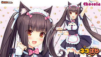 Nekopara s HD wallpaper