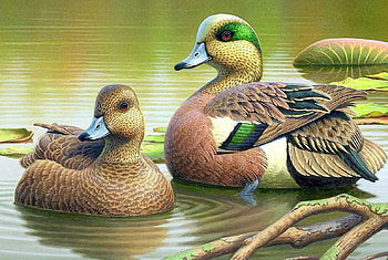 On the Water, ducks, birds, painting, water HD wallpaper