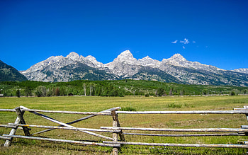 mountains, fun, cool, nature, forest HD wallpaper