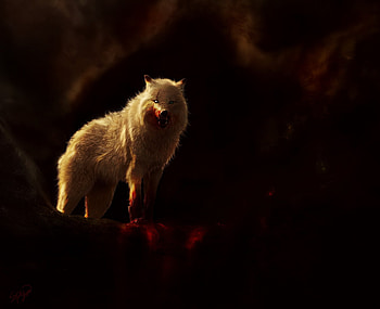 Wolf, animal, blood, art HD wallpaper