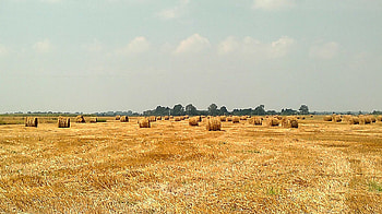 Landscape, Kobrin, Brest Province, Belarus HD wallpaper