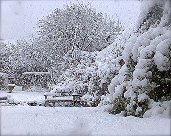 Winter Wonderland, winter, garden, wonderland, park HD wallpaper