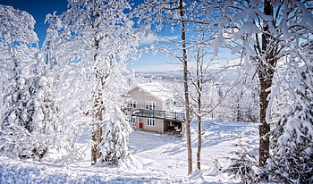 White paradise, winter, white, snow, house HD wallpaper