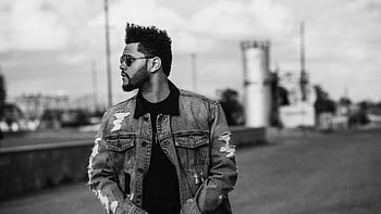 Monochrome, The Weeknd HD wallpaper