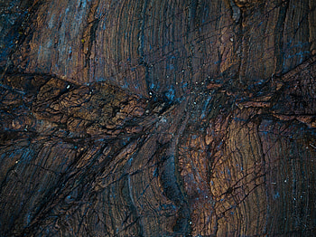 Wood, Tree, Wet, Texture, Textures, Surface, Humid HD wallpaper
