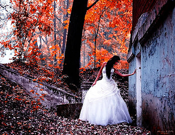 Few minutes apart, white dressed, alone, brunette, few, girl, woman, lady, leaves, wedding, minutes, trees, autumn, apart, bride, forest, loneliness HD wallpaper