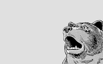 crying bear, animal, white, awesome, fun, art, cry, nice, simple, bear, crying, cool, funny HD wallpaper