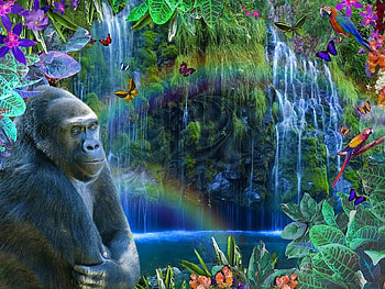 magical, monkey, birds, water HD wallpaper