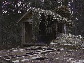 Decaying tiny house and large deck, near lake, deep woods, one-room house, decay HD wallpaper