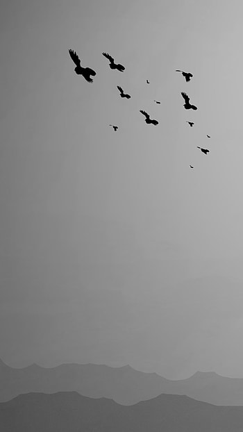 [SFM] Far Away, sad, cat, artistic, Black & White HD phone wallpaper