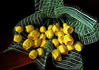 Still Life, bouquet, pretty, yellow tulips, beautiful, flowers, tulips HD wallpaper