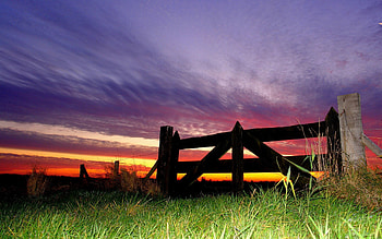 Nature, Grass, Sky, Fence, Evening HD wallpaper