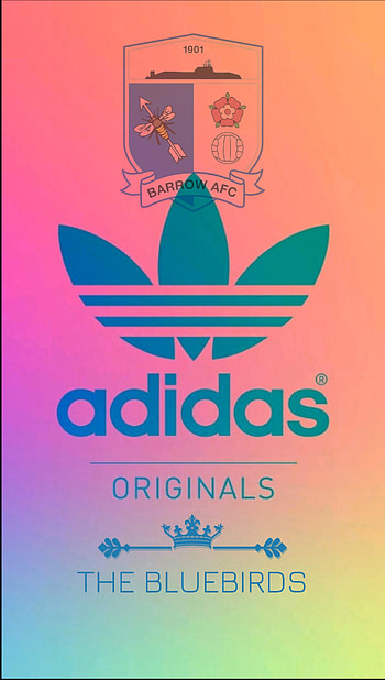 Barrow AFC, the, magenta, art, adidas, english, egland, football, Bluebirds HD phone wallpaper