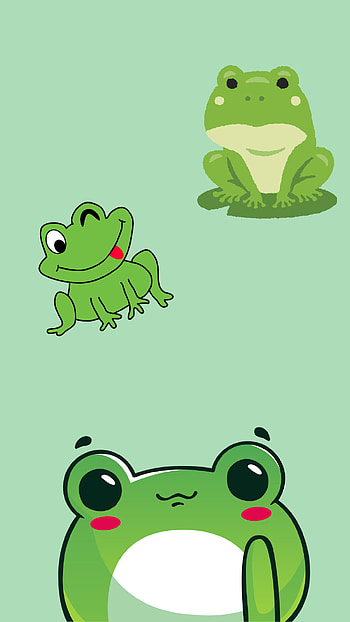 Frogs, product, animals HD phone wallpaper