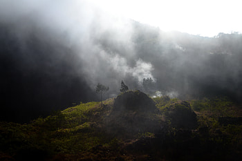Nature, Trees, Mountains, Fog, Hills HD wallpaper