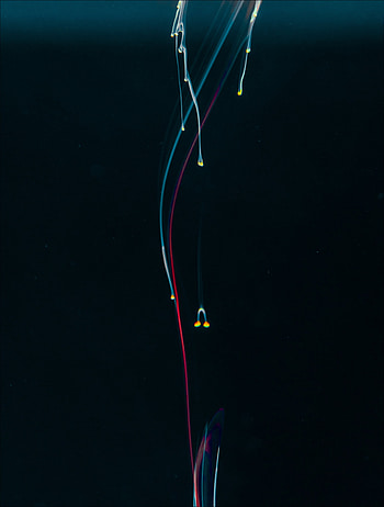 Abstract, Lines, Liquid, Stains, Spots, Clots HD phone wallpaper