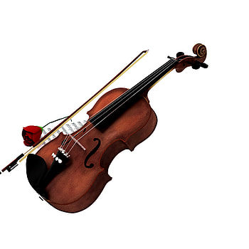 Viola guitar , Transparent background, Png , Pngroyale HD phone wallpaper