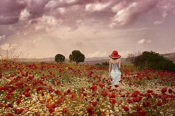 Beautiful Scenery, scenery, field, nature, flowers, woman, beauty HD wallpaper